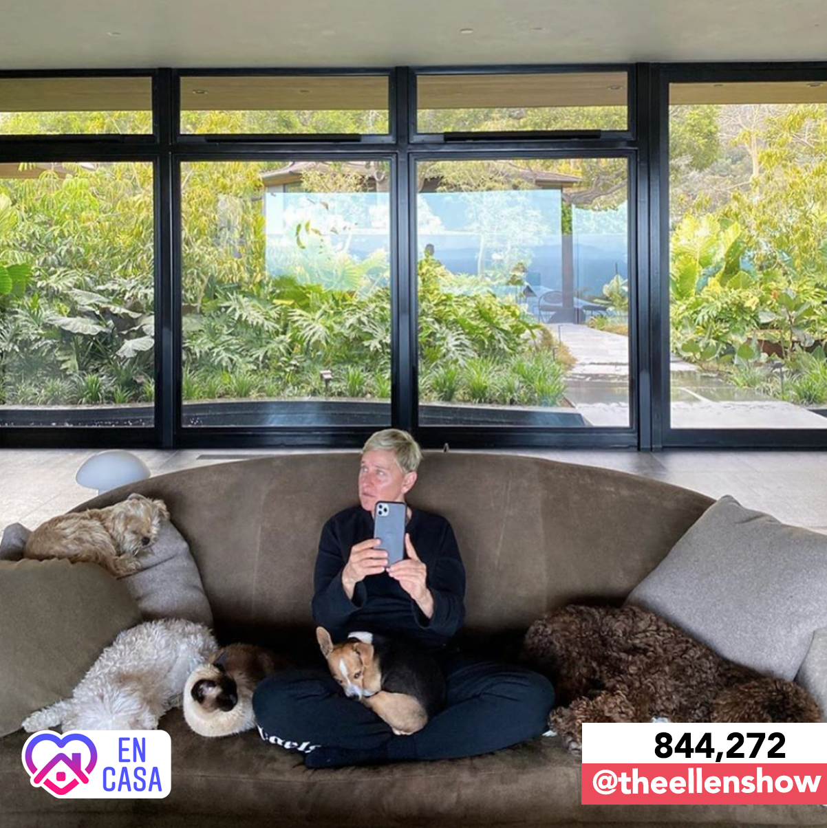 Las instagrameras: los famosos se quedan en casa - 8-4