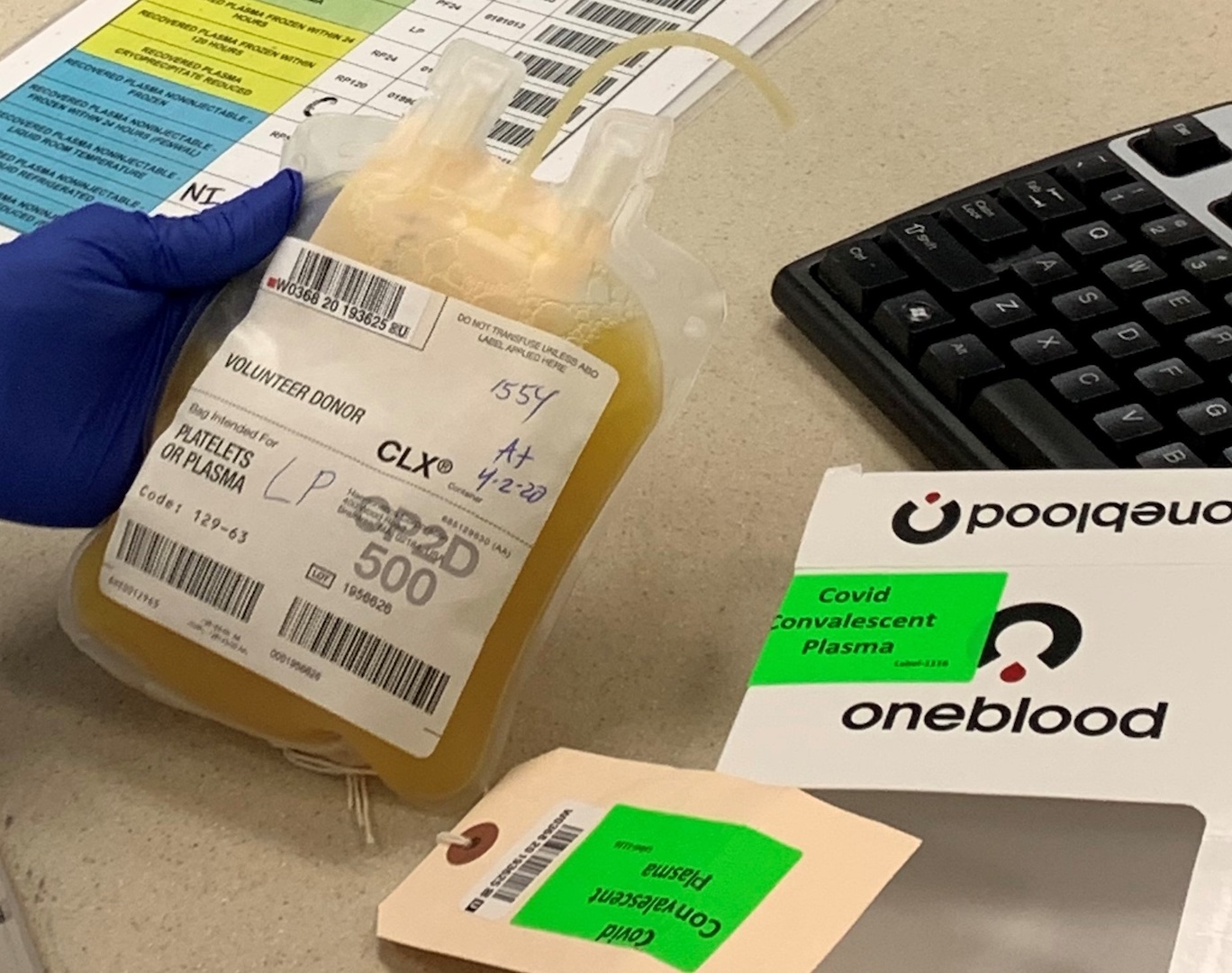 Alcalde de Miami dona plasma a paciente grave tras curarse de COVID-19 - alcalde-de-miami-dona-plasma1