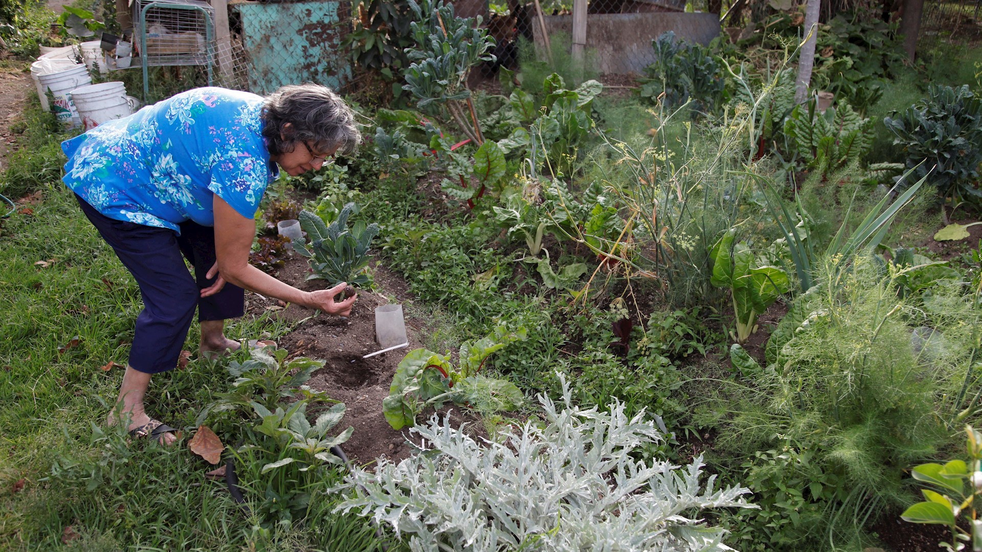 Latinoamericanos con mayor riesgo ante COVID-19 por mala alimentación