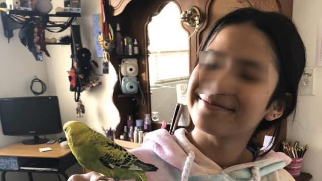 Asesinan dentro de su casa a Ana Paola; tenía 13 años de edad