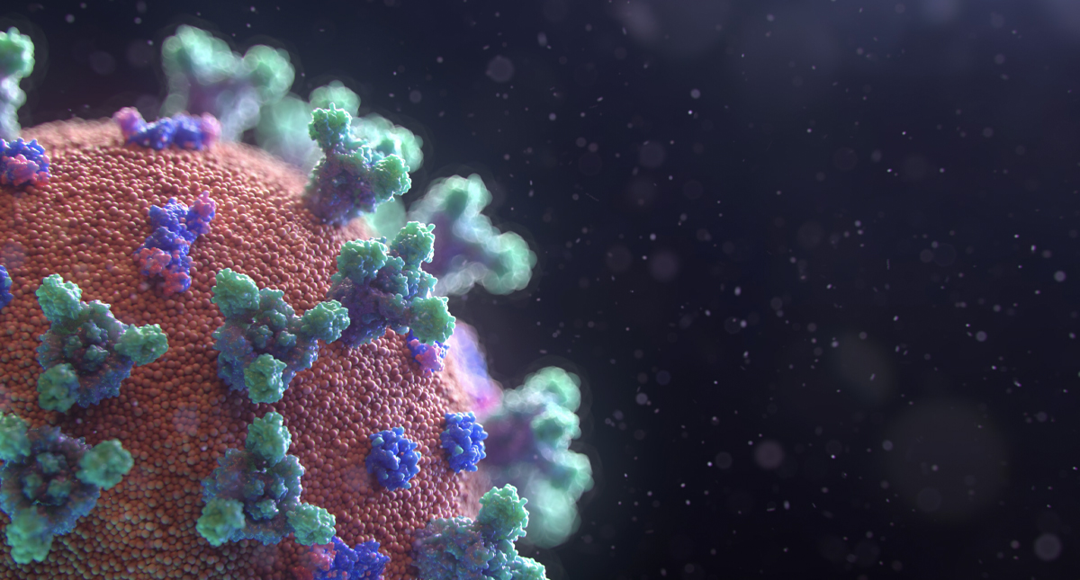 OMS pide ‘poner en cuarentena’ los intentos de politizar el coronavirus