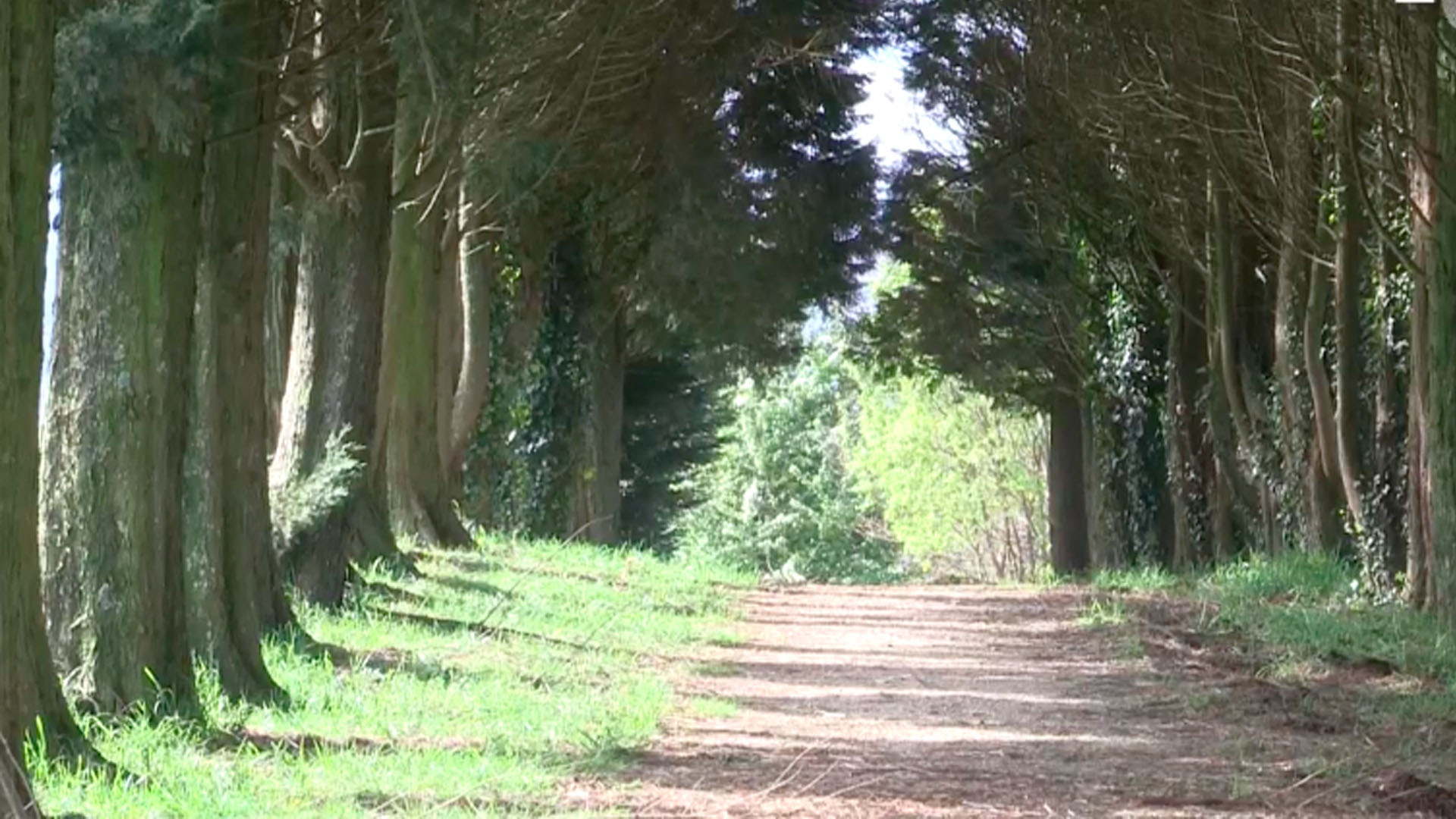 Camino de Santiago se queda sin peregrinos por COVID-19