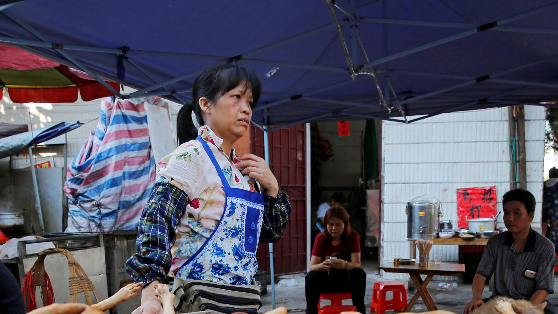 Ciudad china prohíbe comer perros y gatos tras crisis de COVID-19