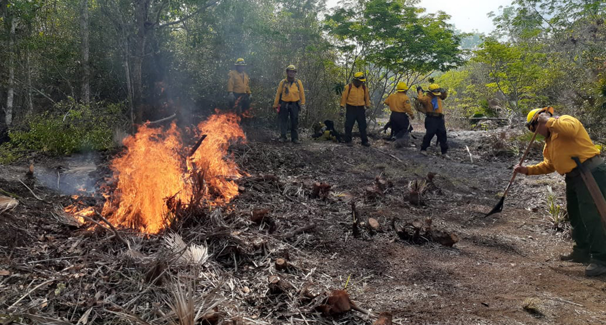 Suman 63 incendios forestales activos en México