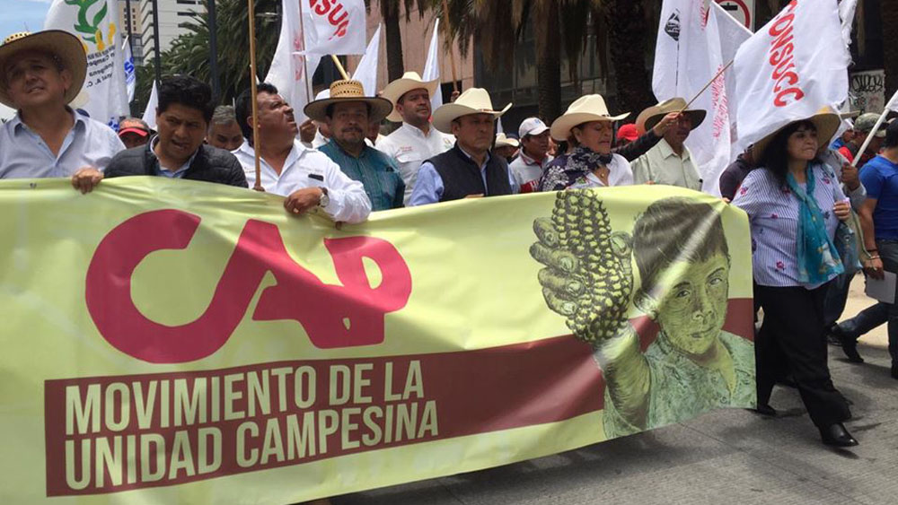 Agricultores piden plan emergente ante el COVID-19