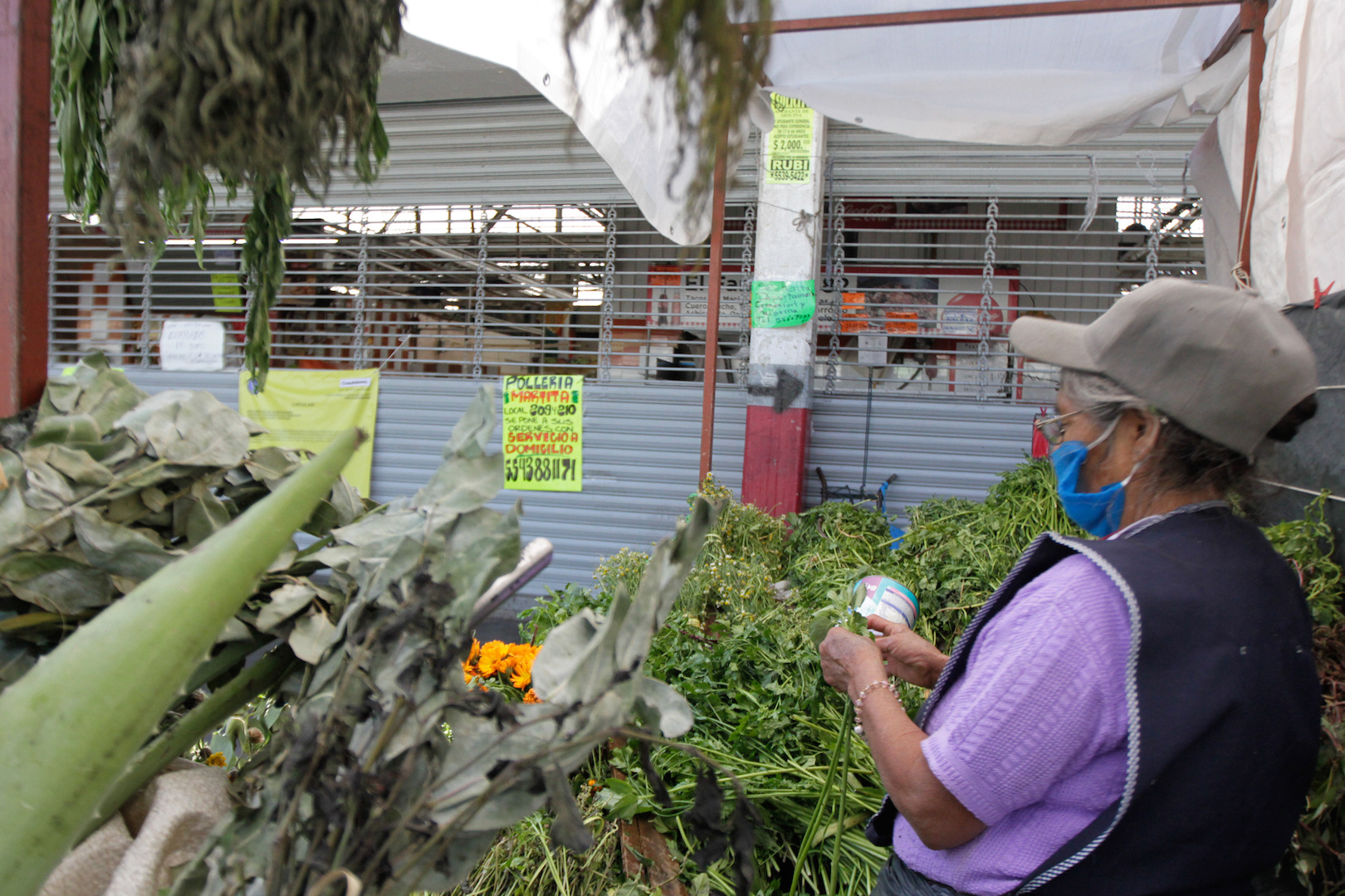 Ya se han depositado 63 mil 125 Créditos Solidarios a la Palabra