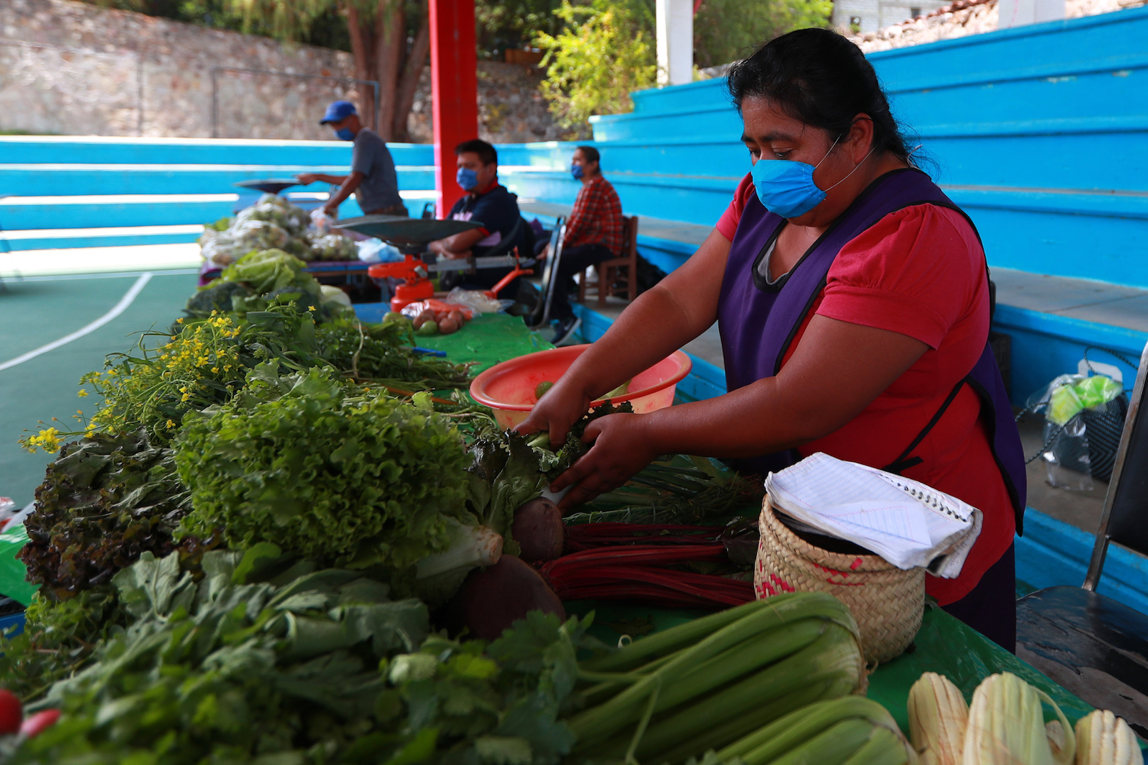 Hay 84 mil 803 Créditos a la Palabra aprobados para pequeños empresarios