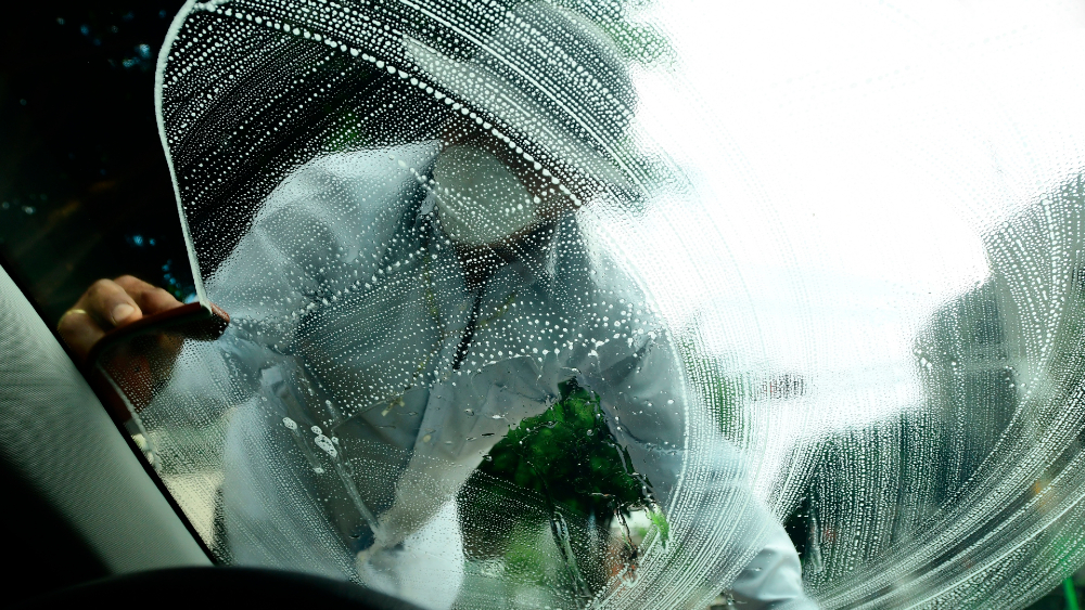 Desempleo podría superar crisis de 1995, subraya Banxico