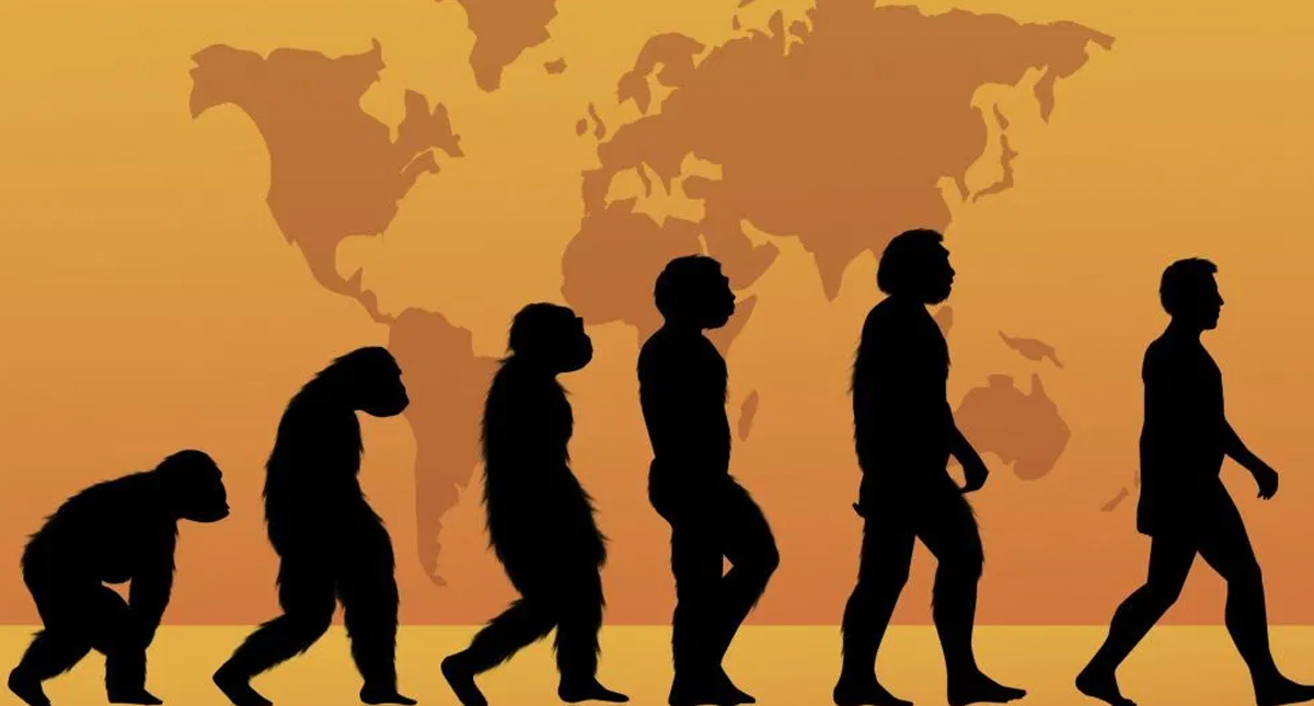 Proteínas podrían reescribir la evolución humana