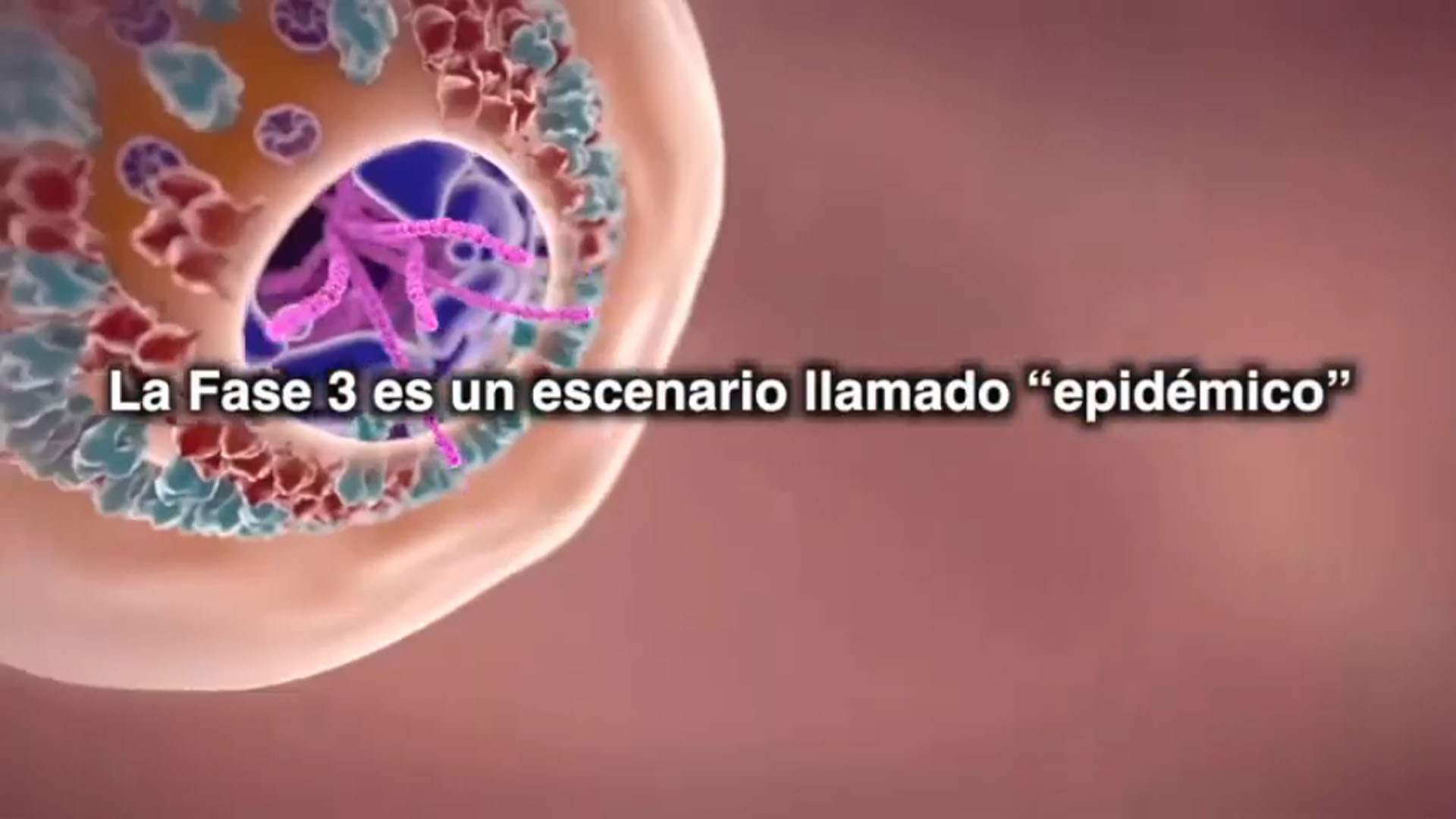 Fase 3 de COVID-19: ¿Qué implica?