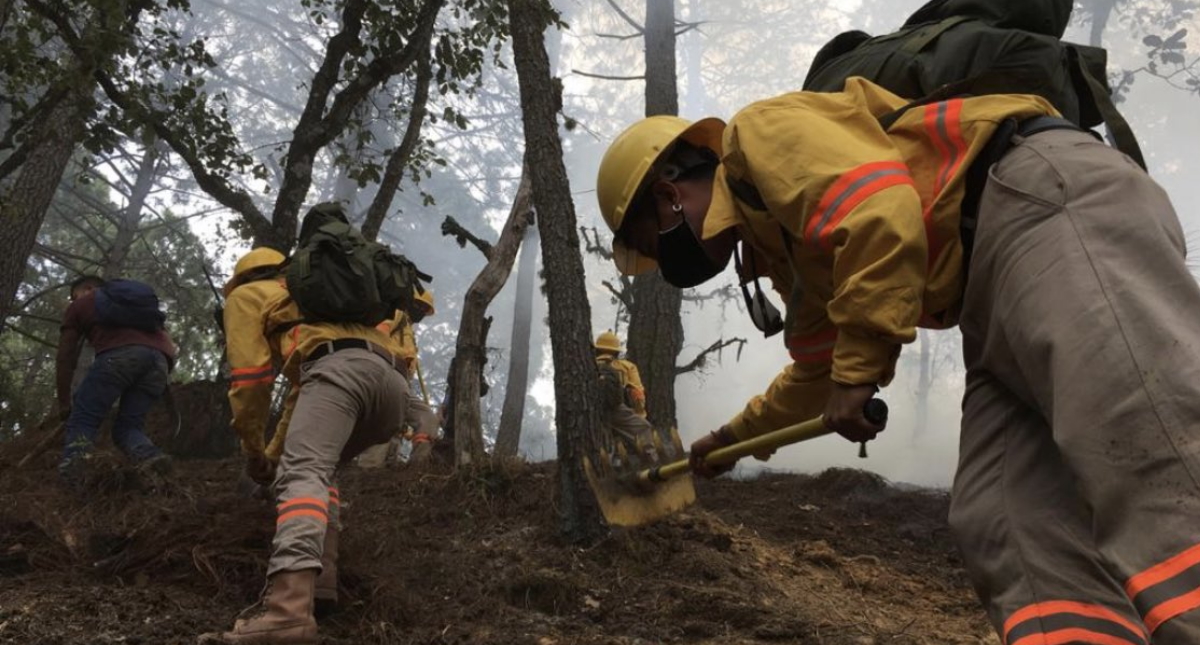 Mueren 9 personas por incendios forestales en Oaxaca