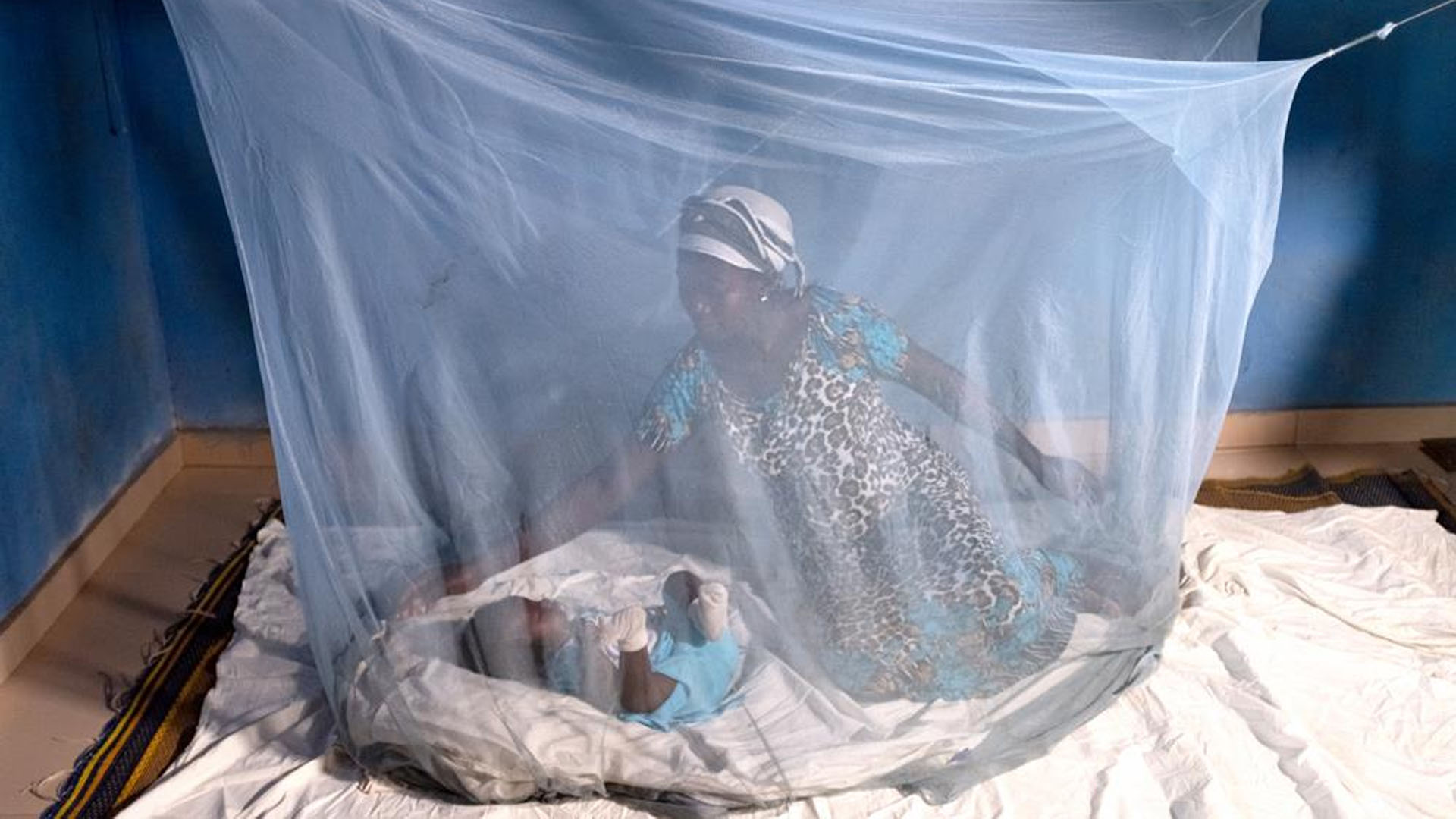 OMS teme decenas de miles de muertos adicionales por malaria en la pandemia