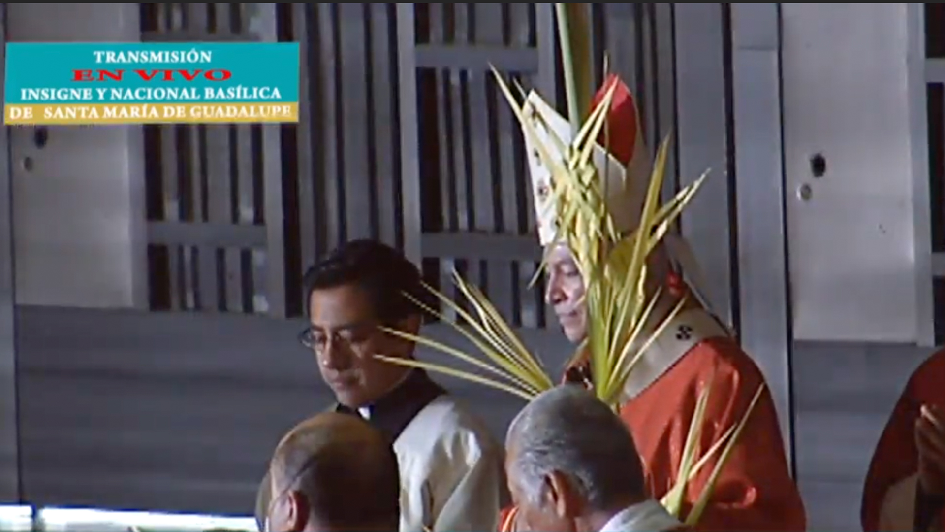 Misa de Domingo de Ramos del Cardenal Carlos Aguiar Retes desde la Basílica de Guadalupe