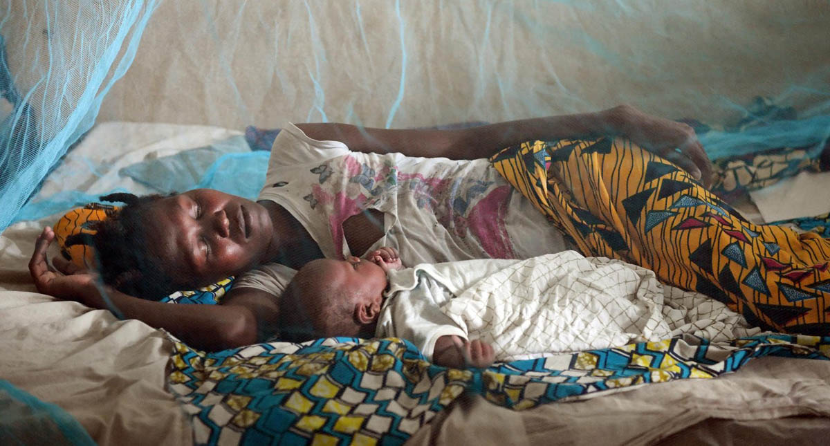 Papa Francisco invita a no olvidar la lucha contra el paludismo