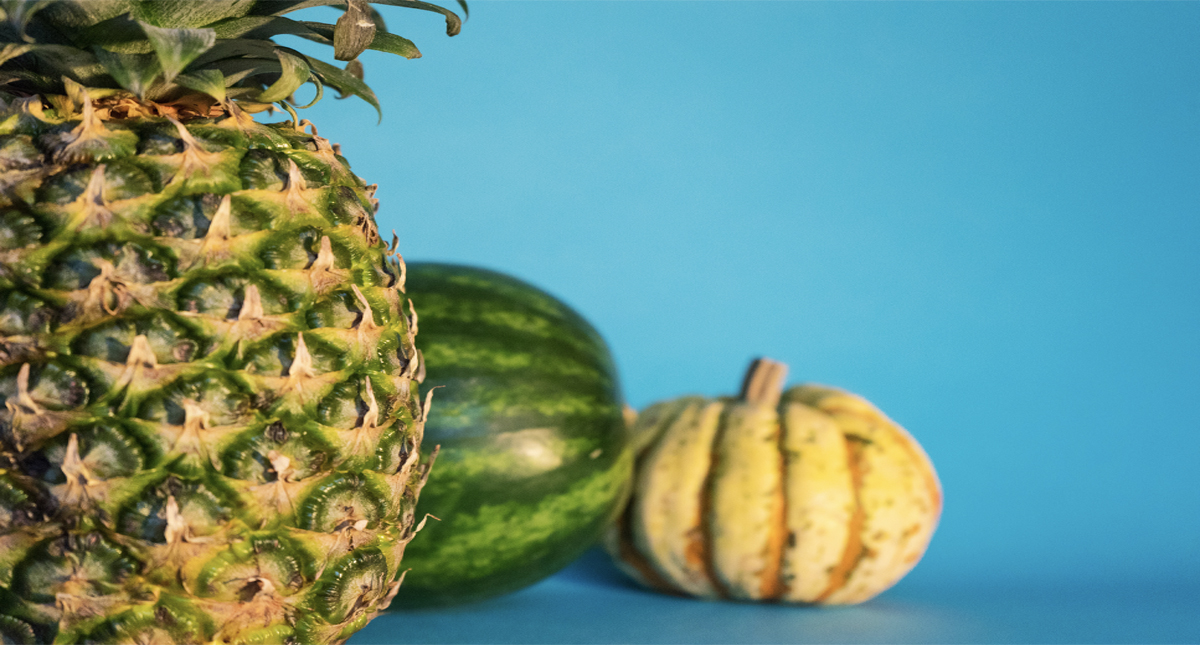 Dieta alta en antioxidantes fortalece sistema inmunológico de adultos mayores