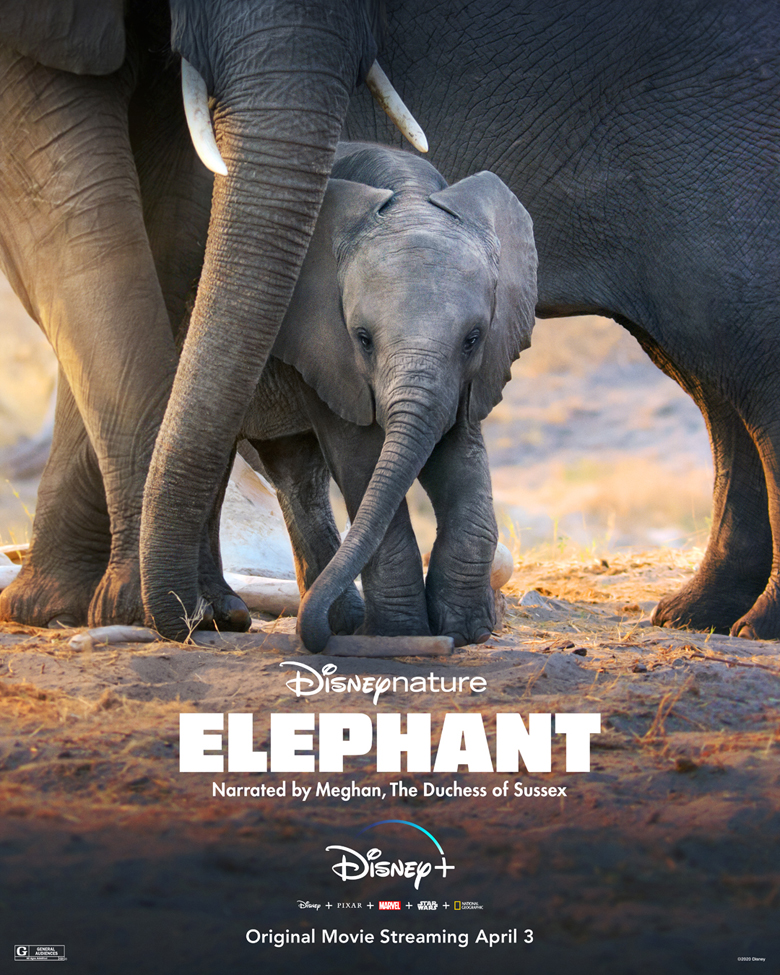 Meghan Markle narrará el documental 'Elephant' de Disney - poster-del-documental-elephant