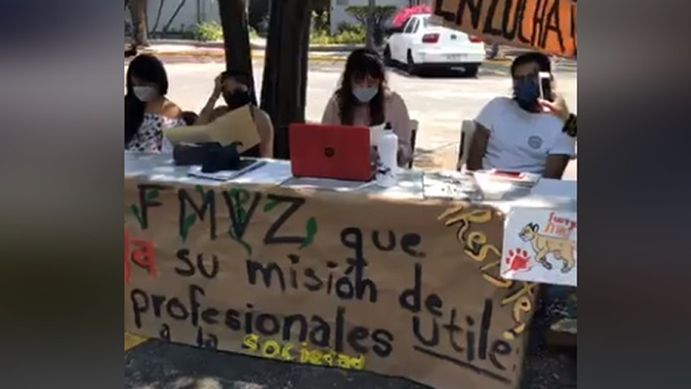UNAM sostiene diálogo con FMVZ para reanudar actividades