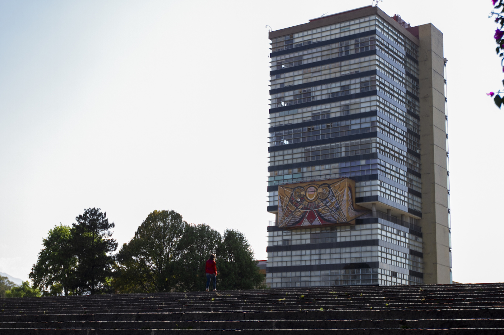 UNAM se deslinda de Guía Bioética del Consejo de Salubridad General