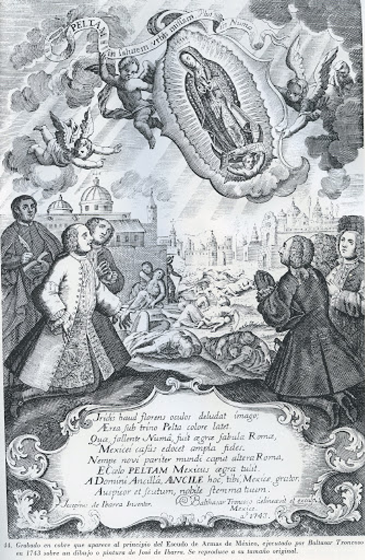 Epidemias en la Nueva España (parte 1) - virgen