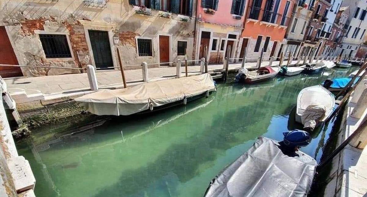 Canales de Venecia se aclararon por reducción en tráfico de góndolas, concluye estudio