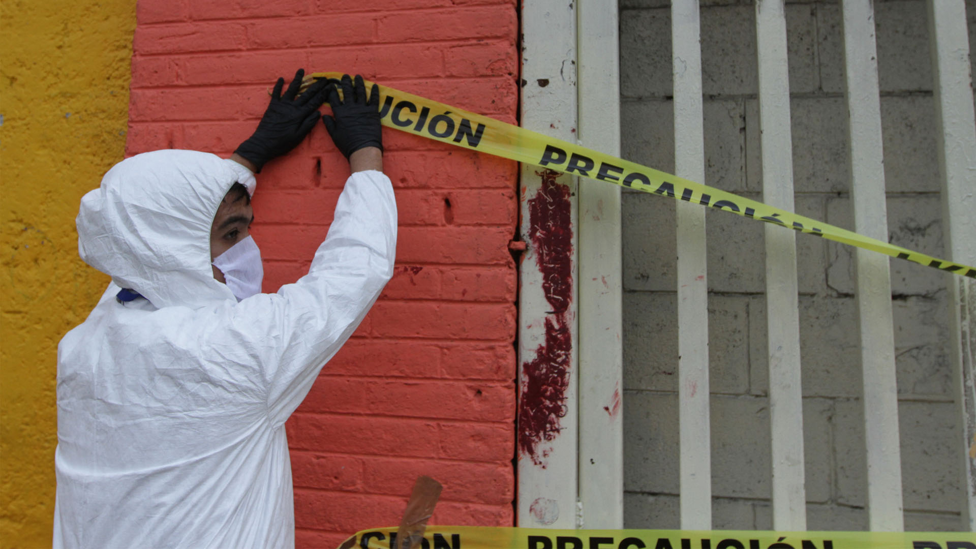 Por COVID-19, temen desabasto en industria de alimentos para animales