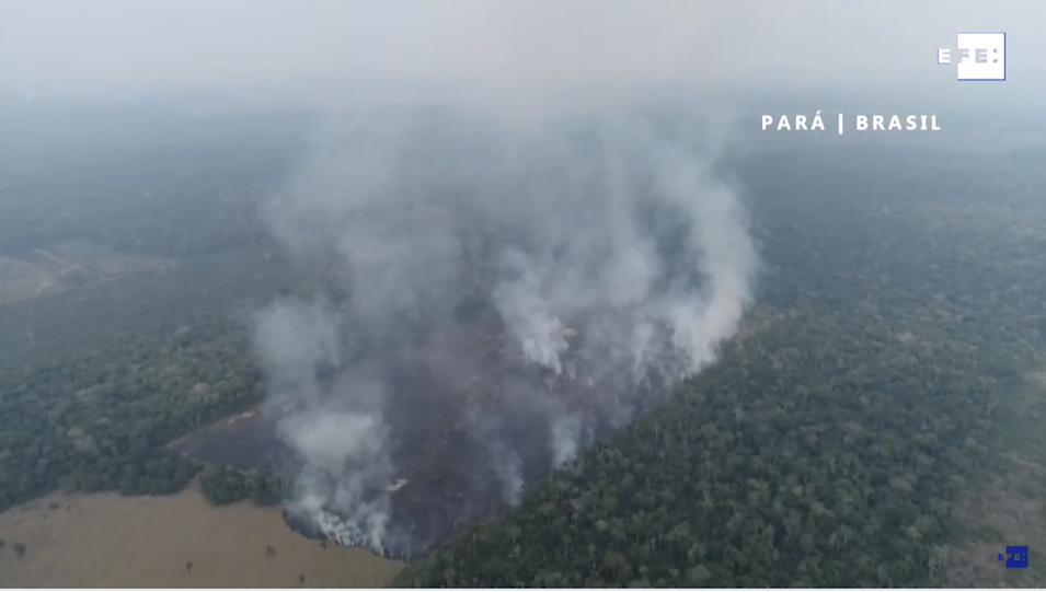 Amazonas: más deforestación y desigualdad después del COVID-19