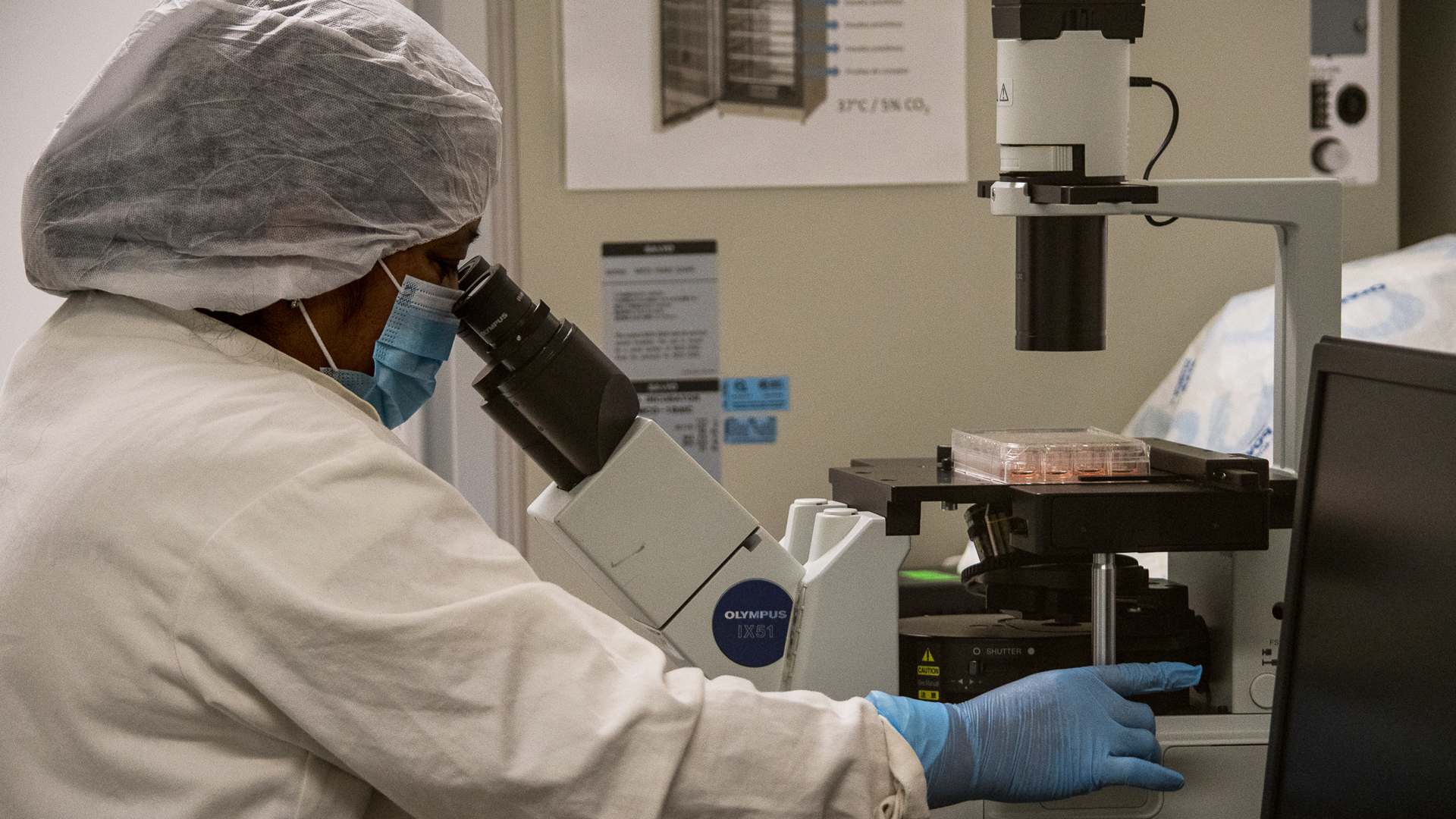 Investigadores mexicanos diseñan pruebas de detección masiva de COVID-19