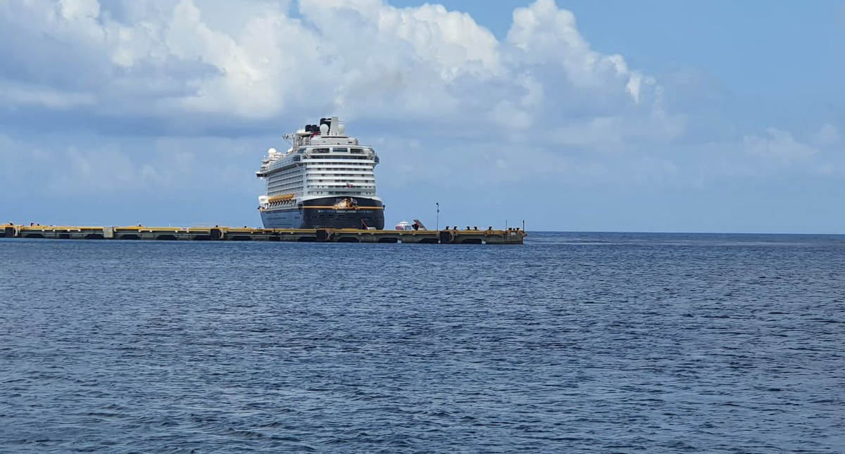 Desembarcan 86 mexicanos varados por COVID-19 en Cozumel y Puerto Vallarta