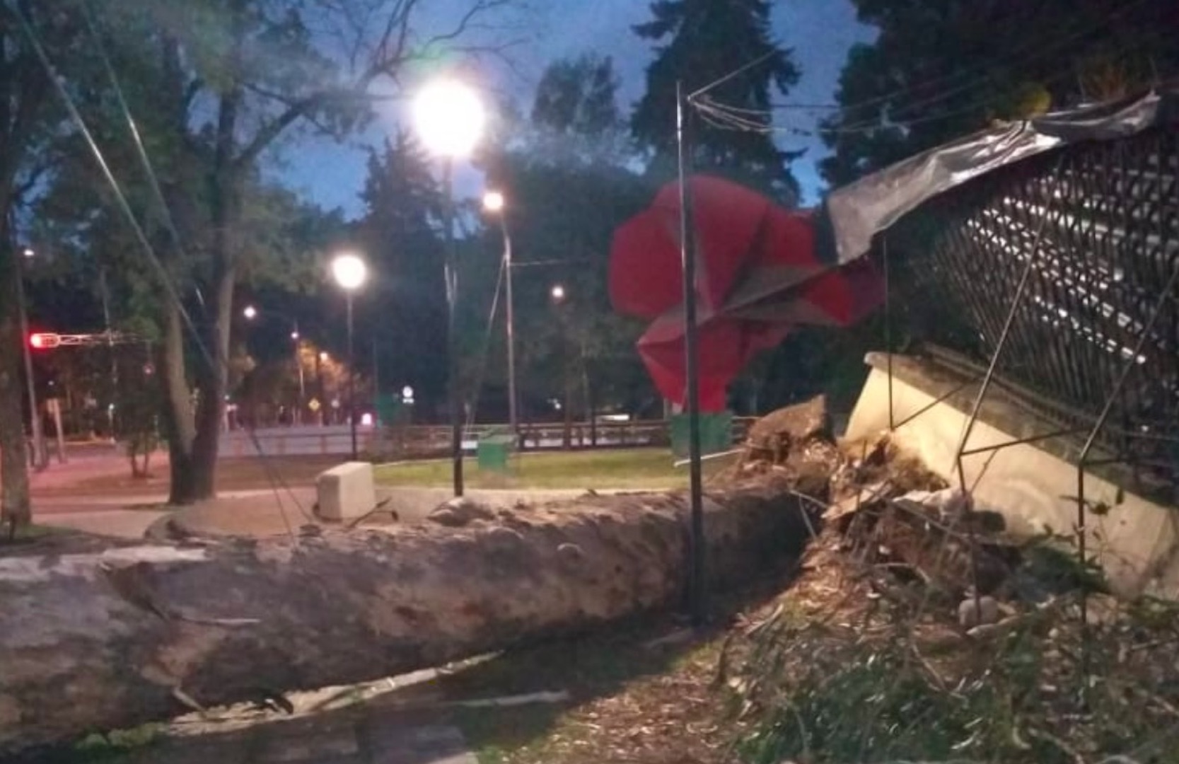 Bomberos retiran árbol que cayó sobre barda del Bosque de Chapultepec