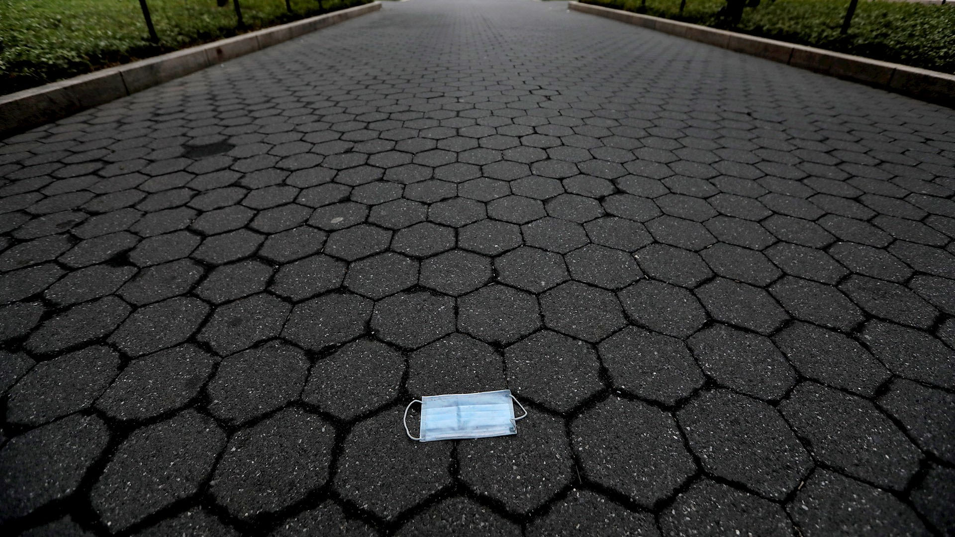 Universitarios de Nueva York, entre el optimismo y la preocupación por COVID-19