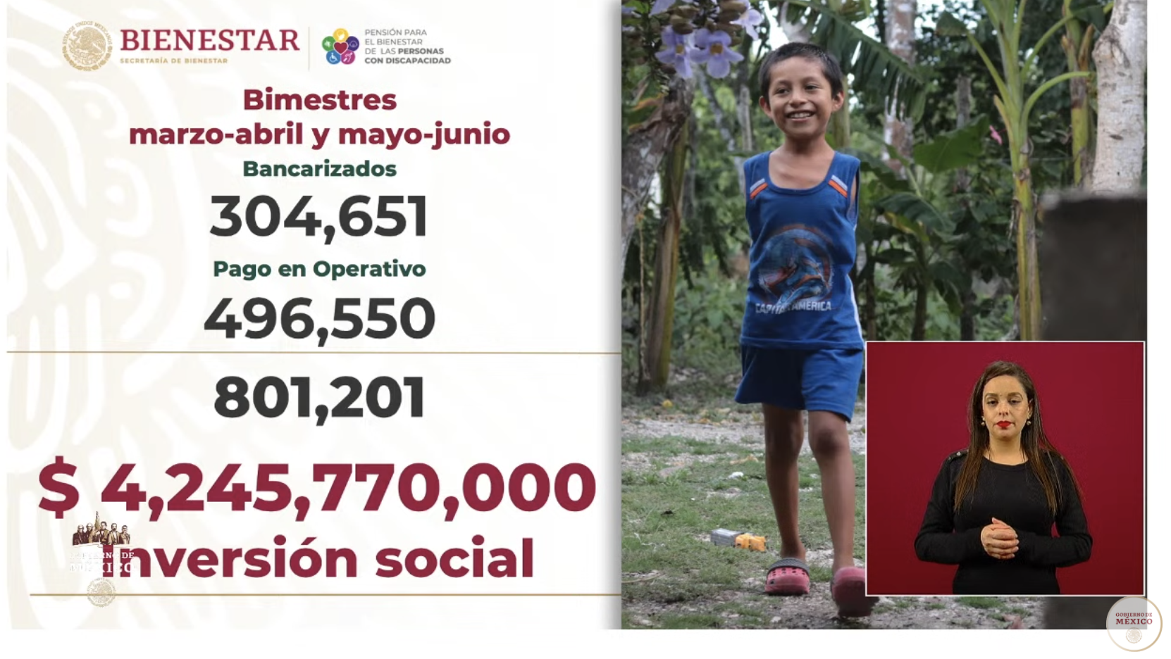 Programa de pensión para el Bienestar beneficia a más de 800 mil personas con discapacidad - captura-de-pantalla-2020-05-19-a-las-171541