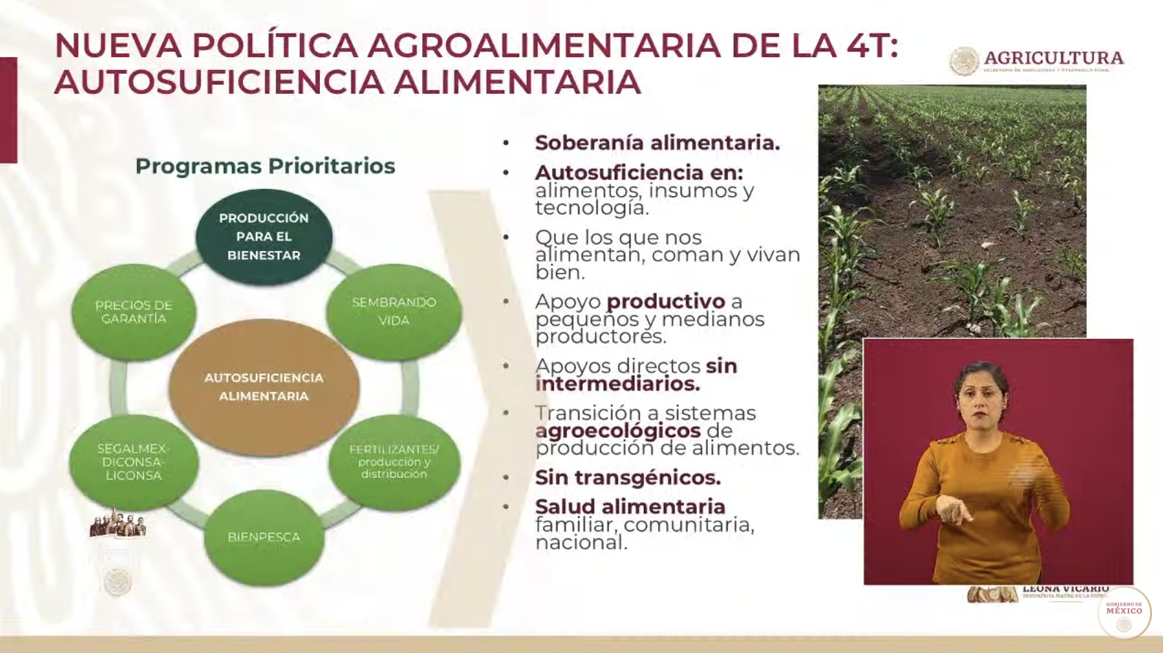 Programa Producción para el Bienestar lleva dispersados 5 mil 990 millones de pesos - captura-de-pantalla-2020-05-20-a-las-171354