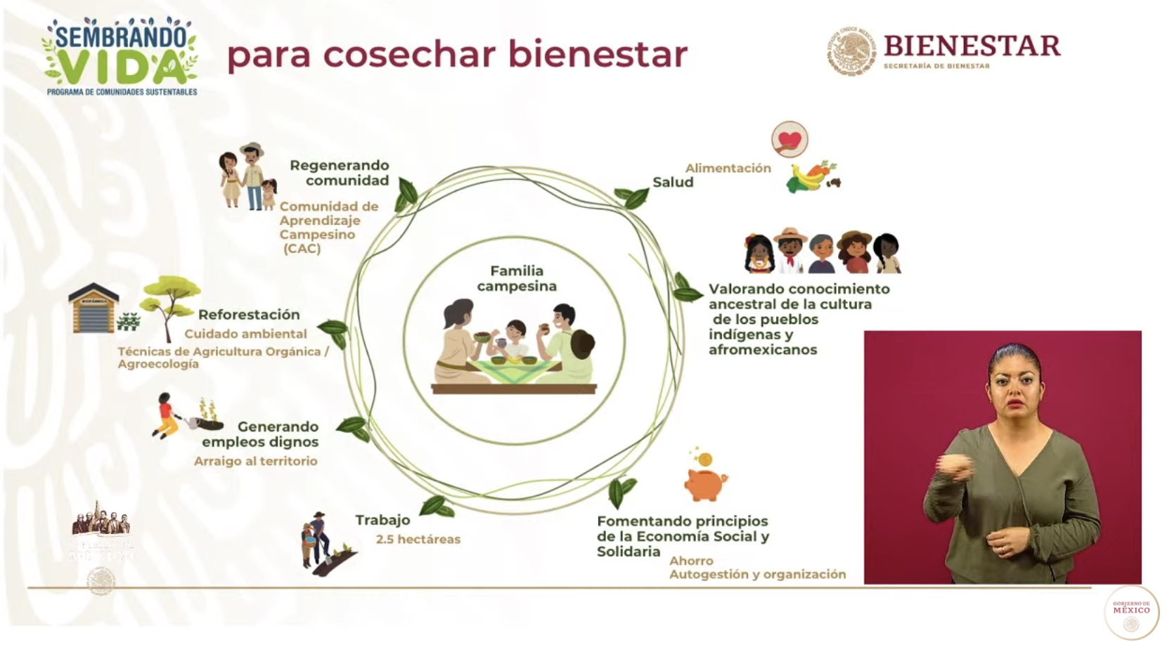 Programa Sembrando Vida emplea a 226 mil 675 campesinos - captura-de-pantalla-2020-05-21-a-las-170628