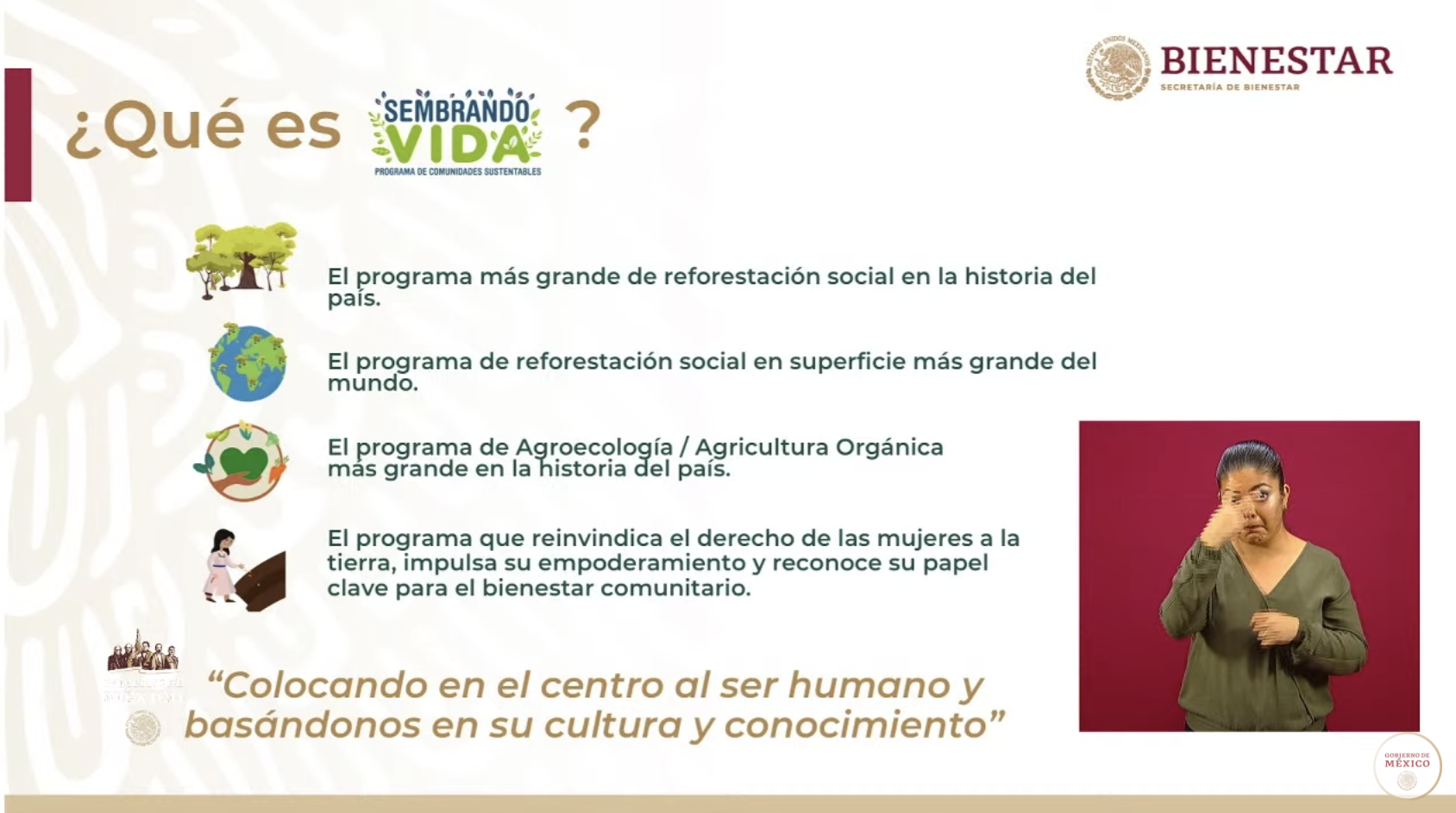 Programa Sembrando Vida emplea a 226 mil 675 campesinos - captura-de-pantalla-2020-05-21-a-las-171458