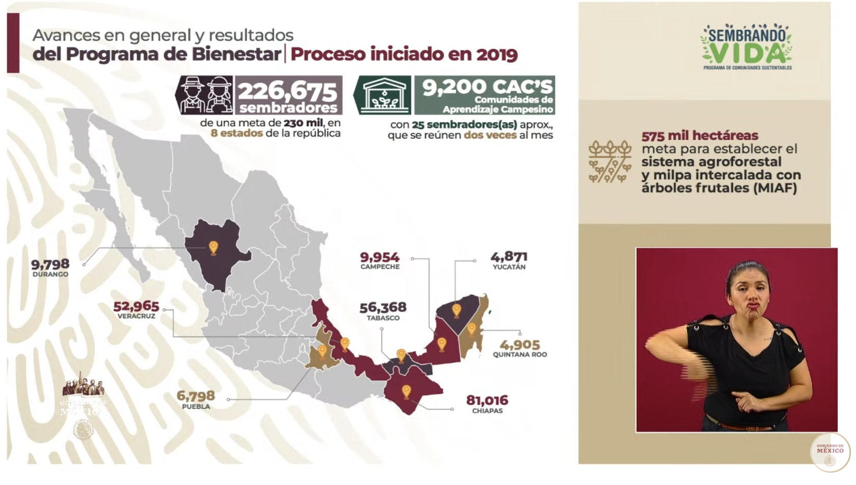Programa Sembrando Vida emplea a 226 mil 675 campesinos - captura-de-pantalla-2020-05-21-a-las-172743