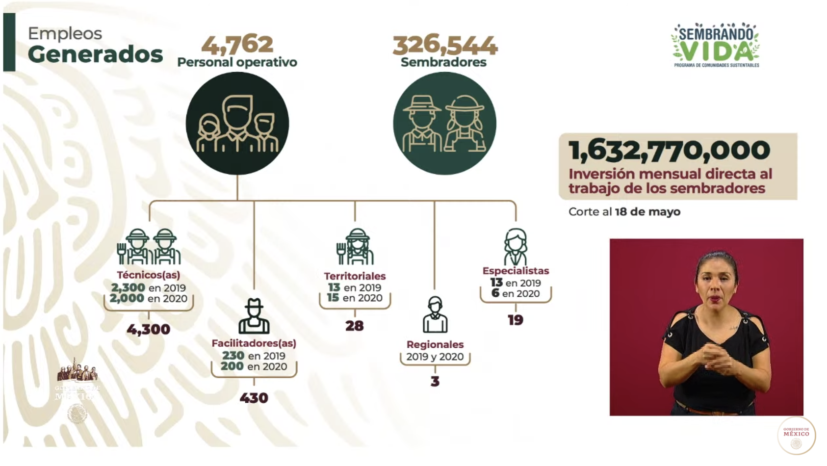 Programa Sembrando Vida emplea a 226 mil 675 campesinos - captura-de-pantalla-2020-05-21-a-las-172828