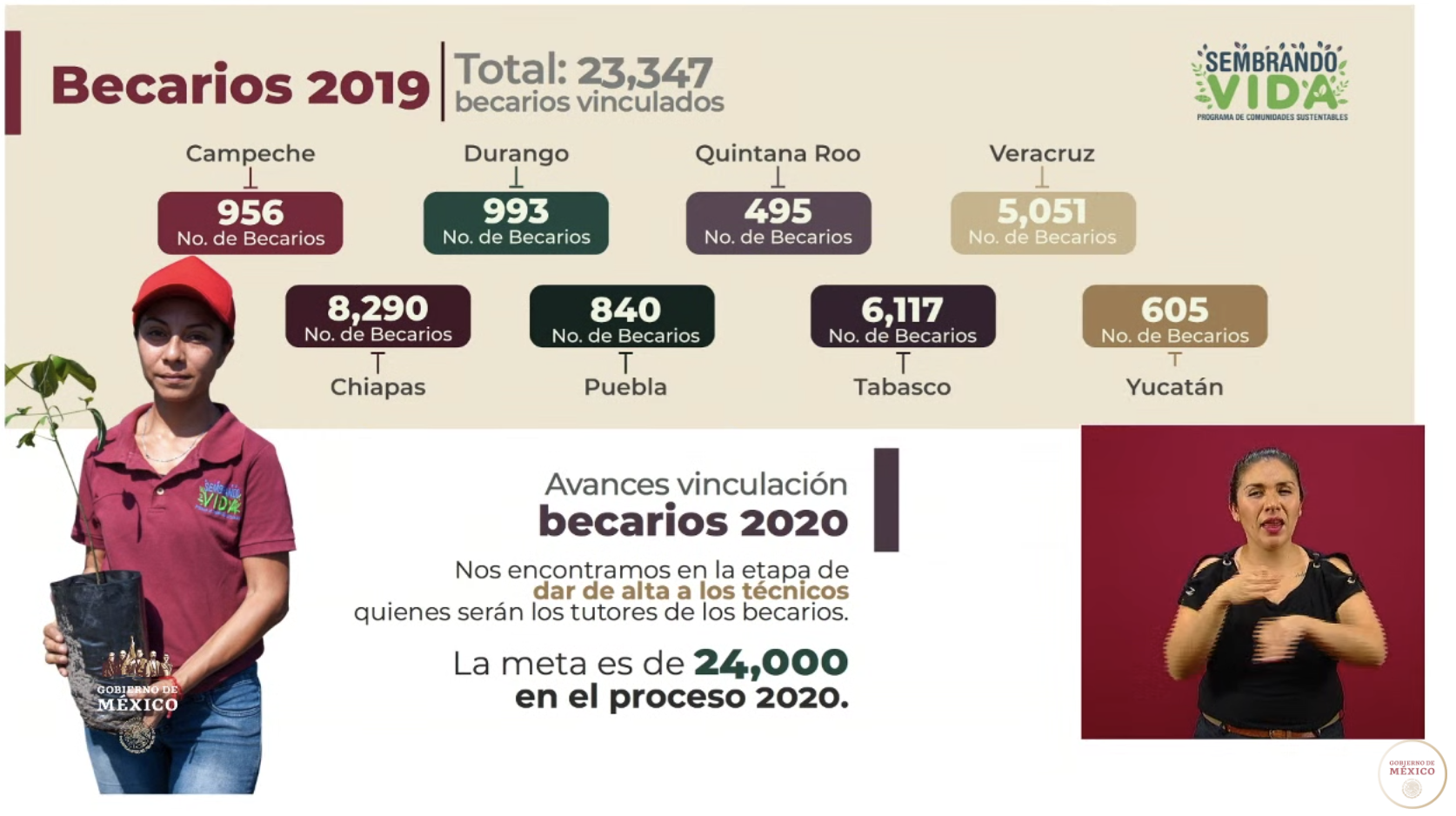 Programa Sembrando Vida emplea a 226 mil 675 campesinos - captura-de-pantalla-2020-05-21-a-las-173337