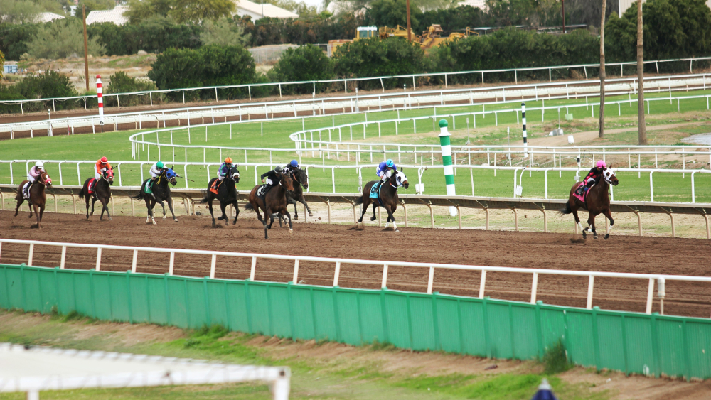 Nueva York autoriza reinicio de carreras de caballos y automóviles a partir de junio