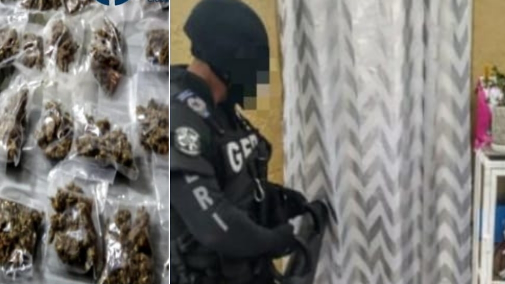 Decomisan presunta mariguana y detienen a dos tras cateo en la Morelos