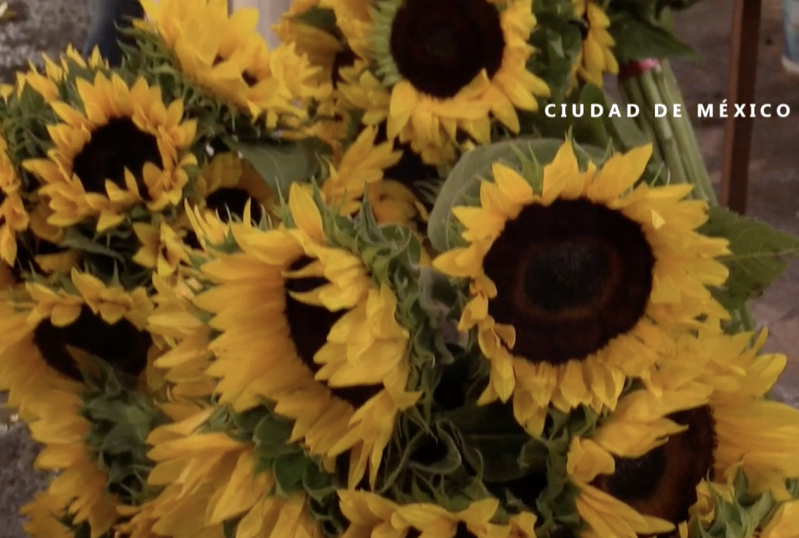 Día de las Madres en pandemia: México aplaza la tradicional celebración