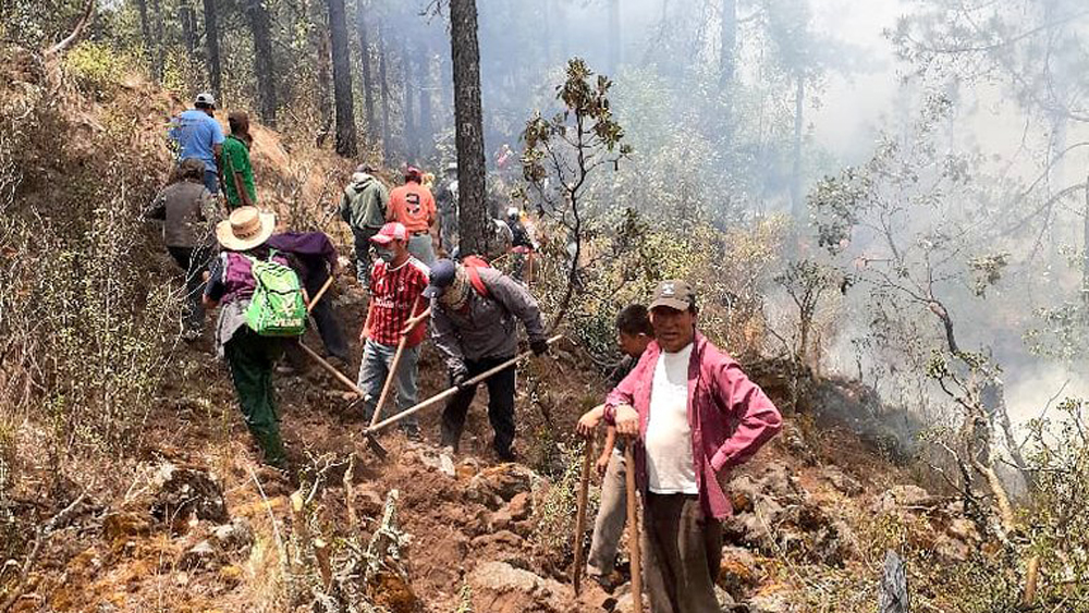Apagan dos de tres incendios en Morelos