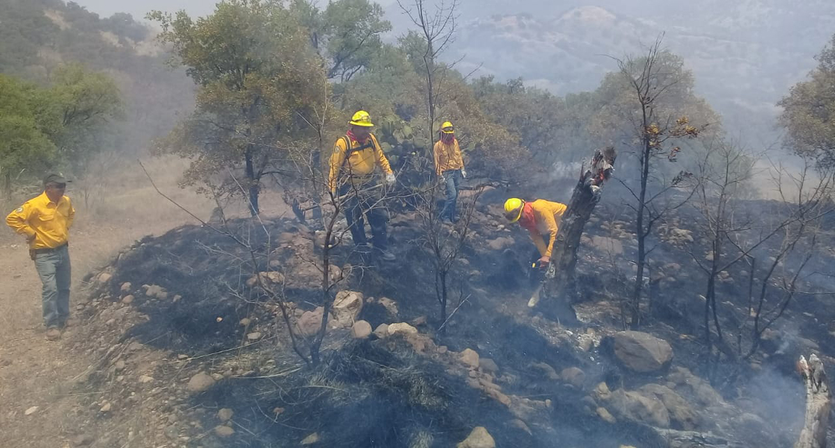 Permanecen activos 55 incendios forestales en 14 estados