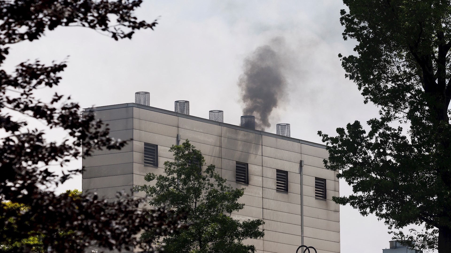 Nueva York anuncia “tremendo progreso” en la lucha contra el COVID-19