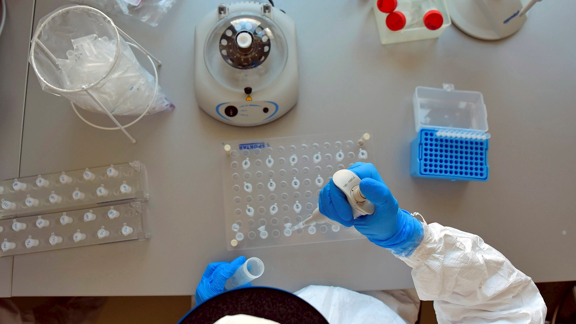 Anthony Fauci rechaza que el COVID-19 saliera de un laboratorio