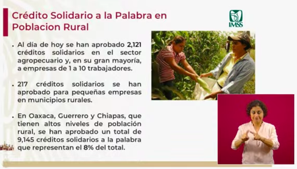 Se han aprobado 115 mil 104 Créditos solidarios a la palabra - creditos-a-la-palabra-rurales