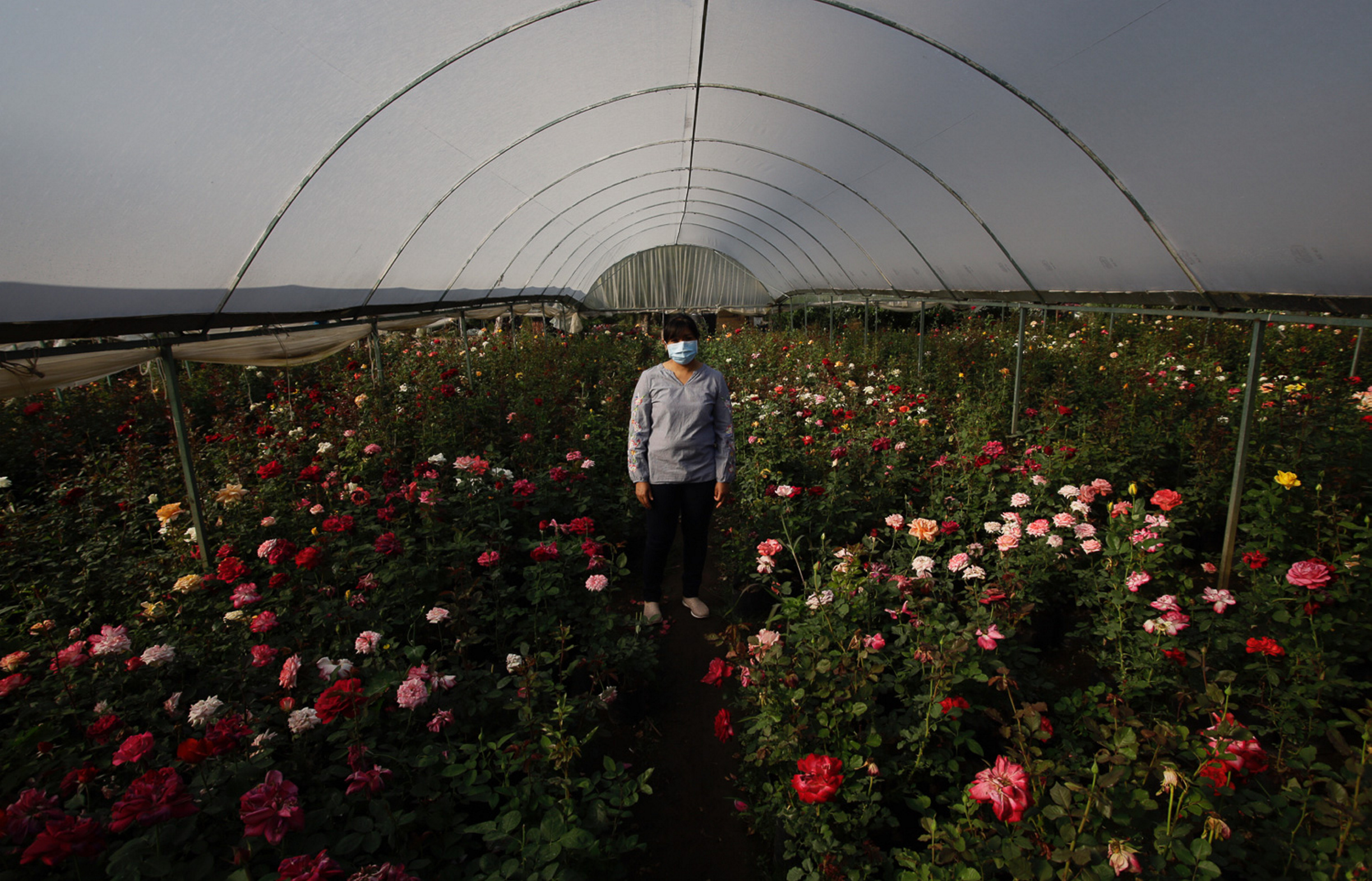 Se han depositado 120 mil 299 Créditos Solidarios a la Palabra