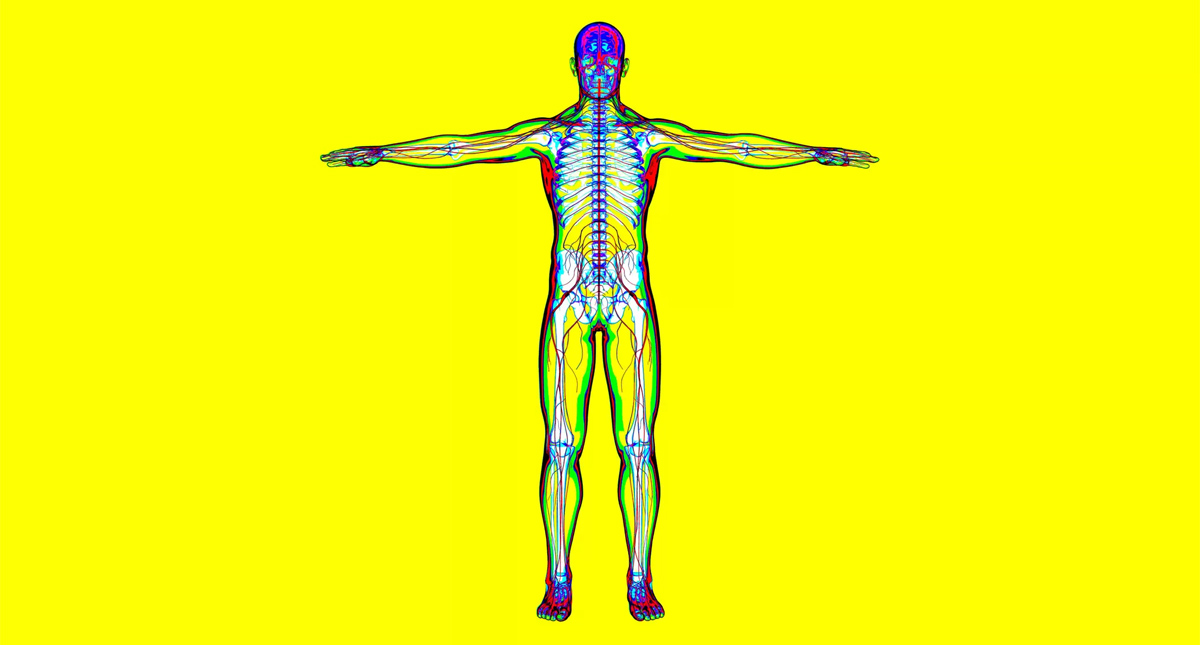 COVID-19 puede invadir el corazón, intestinos, vasos sanguíneos, riñones y cerebro