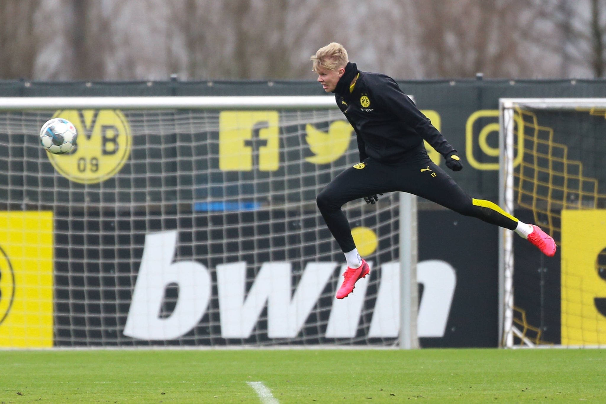 Todavía en casa - img-1428