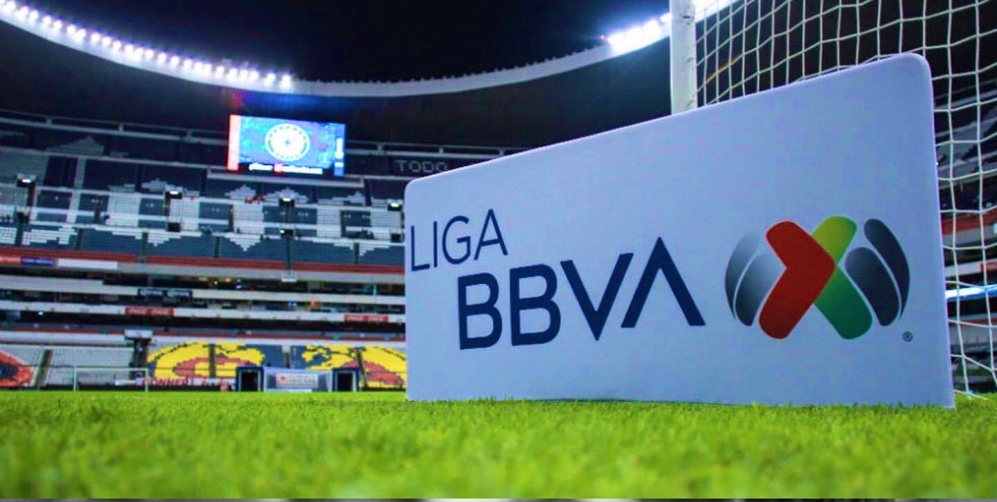 No serán conejillo de indias - img-1718