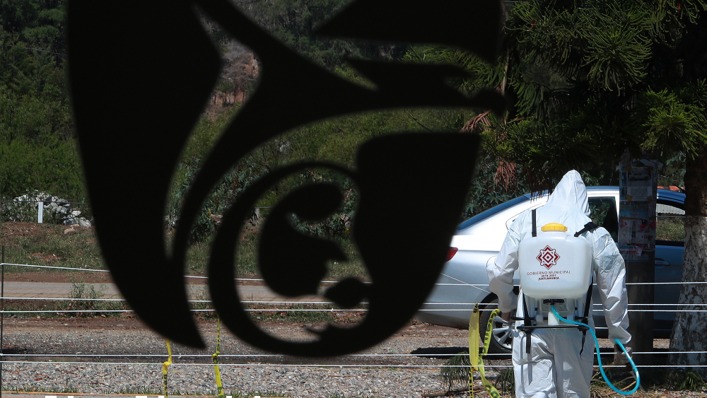 Debemos acostumbrarnos a nueva normalidad con riesgos por COVID-19: Zoé Robledo